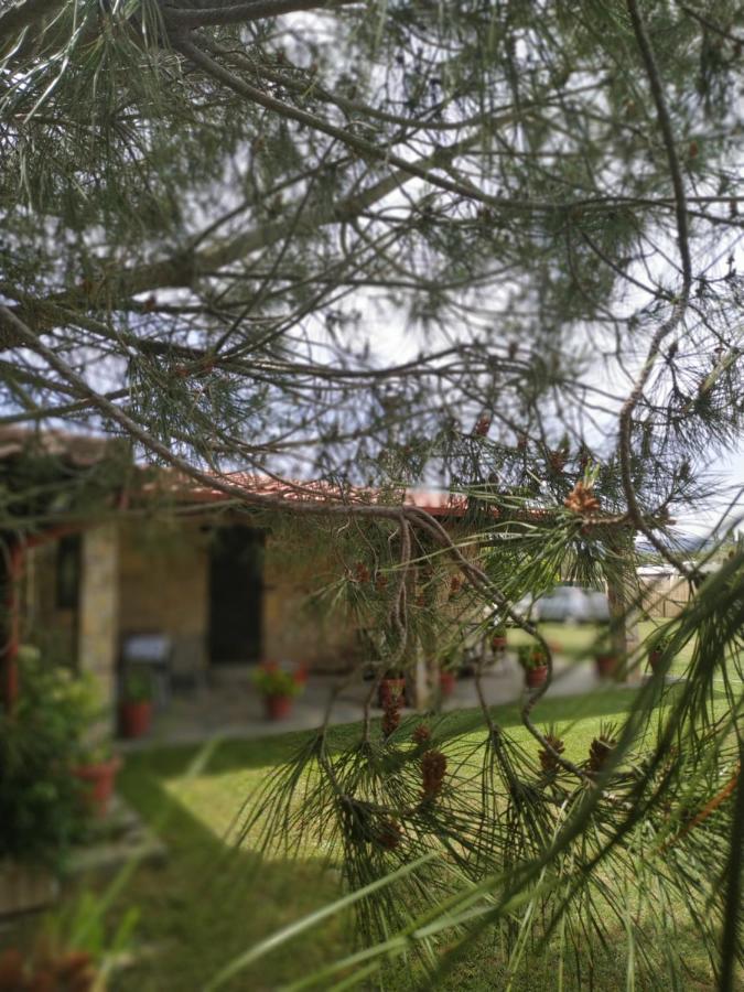 Konaki Guesthouse Ормос Пангиас Екстериор снимка